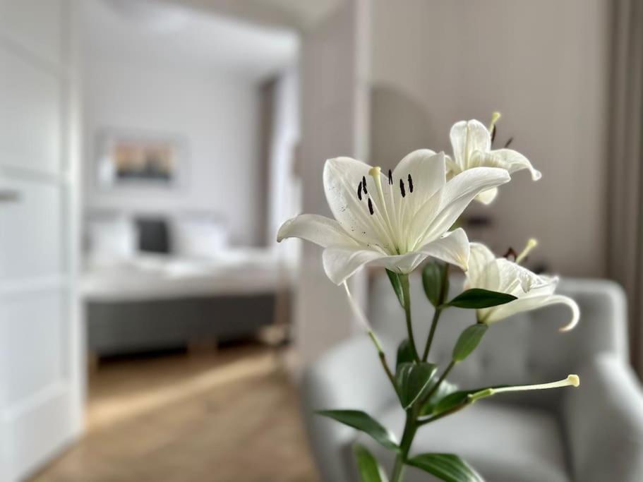 Premium Apartment By Hi - Central 2 Bedroom - Best View Budapest Kültér fotó